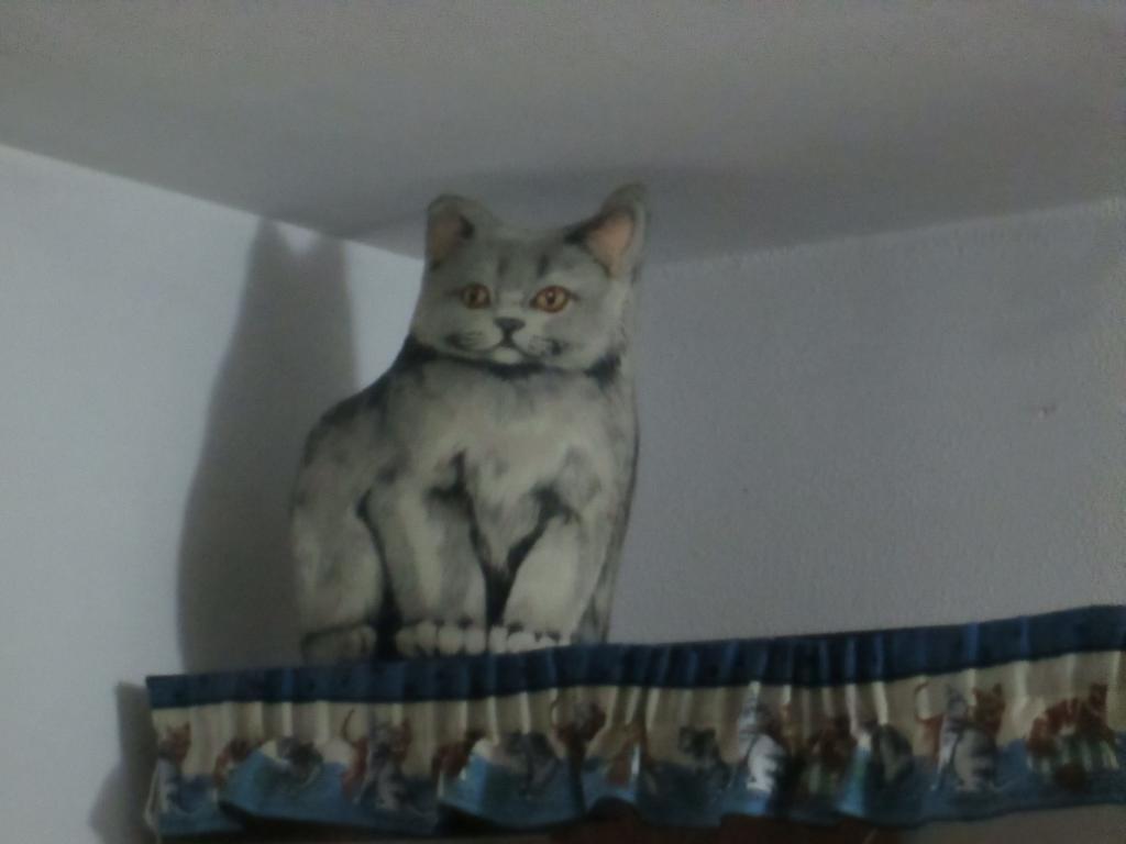 Cat'S House Διαμέρισμα Λίντο ντι Όστια Δωμάτιο φωτογραφία